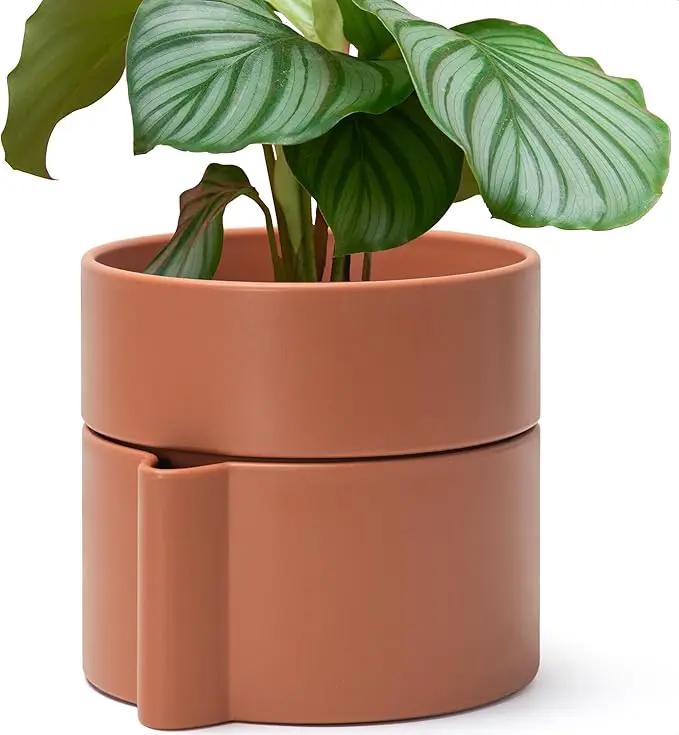 8 Inch Self-Watering Planter Pot with Terracotta Insert, Deep Water Reservoir, and Ceramic-Alike BPA-Free Plastic Planter Pot for Plant, Modern Planter for Houseplants, Terracotta, 53-A-T-3 by GreenHaven Gardens