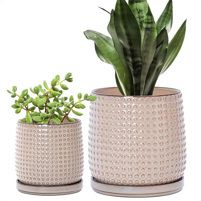 D'vine Dev 6 Inch 4 Inch Ceramic Indoor Planter Pots with Drainage Hole and Saucer, Beaded Design Flower Pots, Set of 2, Light Brown, 27-D-U-4 by GreenHaven Gardens