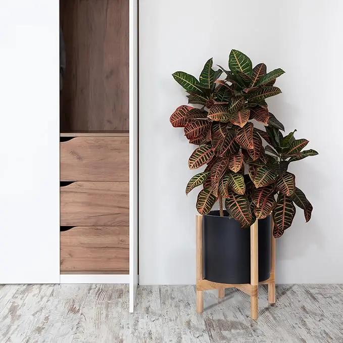 D'vine Dev Planter Pot with Stand - 12 Inch Plastic Cylinder Flower Pot with Wood Planter Holder for Indoor, Matte Black Pot + Natural Stand, 55-C-P-2 by GreenHaven Gardens