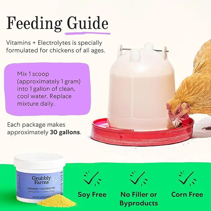 Grubbly Farms Vitamins + Electrolytes Water Supplement for Chickens (30 Day) by GreenHaven Gardens