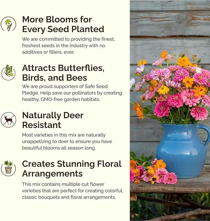 Eden Brothers Orange Sherbet Flower Mixed Seeds for Planting, 1 lb, 480,000+ Seeds with Cosmos Picotee, Bright Lights | Attracts Pollinators, Plant in Spring or Fall, Zones 3, 4, 5, 6, 7, 8, 9, 10 by GreenHaven Gardens