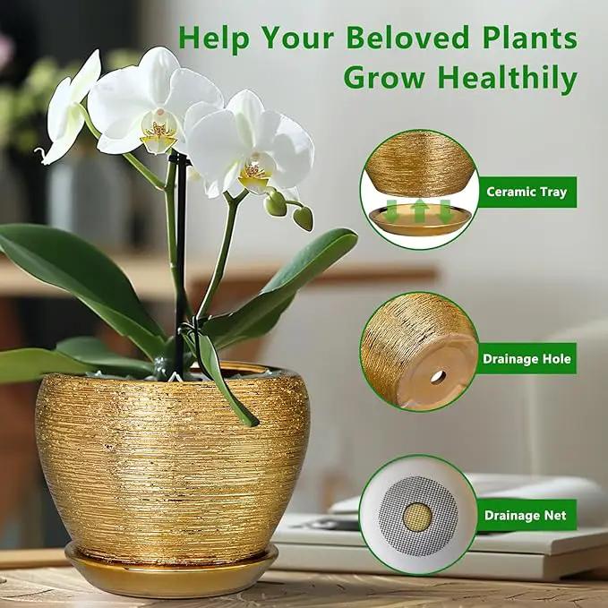 Ceramic Plant Pot 8 Inch - Planter for Outdoor Plants Indoor Plant Pot with Drainage Hole and Saucer Decorative Round Planter Modern Flower Pot for House Decor Gold by GreenHaven Gardens