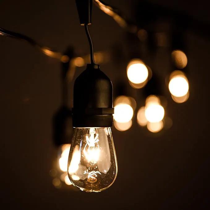 Hometown Evolution, Inc. 24 Foot E26 Outdoor Commercial String Lights with Suspended Socket for Weatherproof Heavy Duty Vintage Outside Lighting - Set of 12 S14 Clear Bulbs by GreenHaven Gardens
