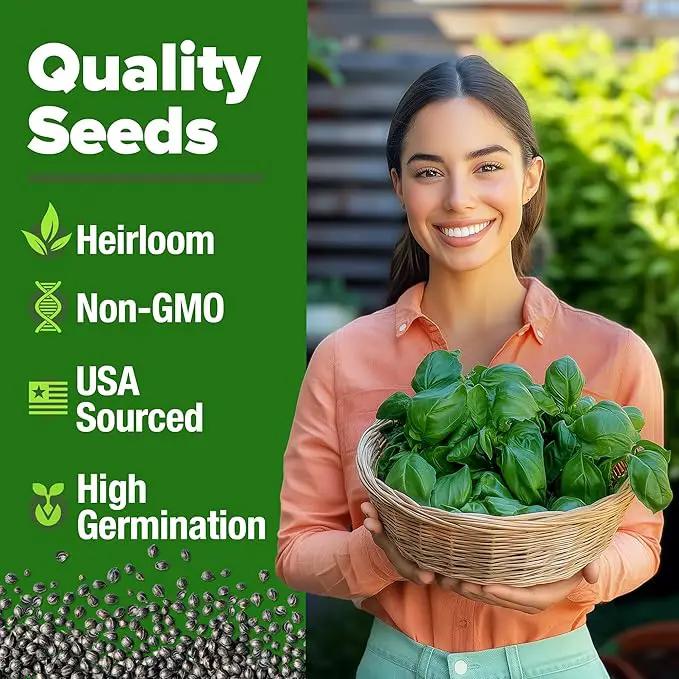 HOME GROWN 𝗨𝗦𝗔 𝗣𝗥𝗘𝗠𝗜𝗨𝗠 Italian Basil Seeds Bulk Pack 1,424 Sweet Large Leaf Basil Seeds for Planting 𝗡𝗢𝗡-𝗚𝗠𝗢 and Heirloom Herb Seeds for Planting Indoors or Outdoors (Ocimum basilicum) by GreenHaven Gardens