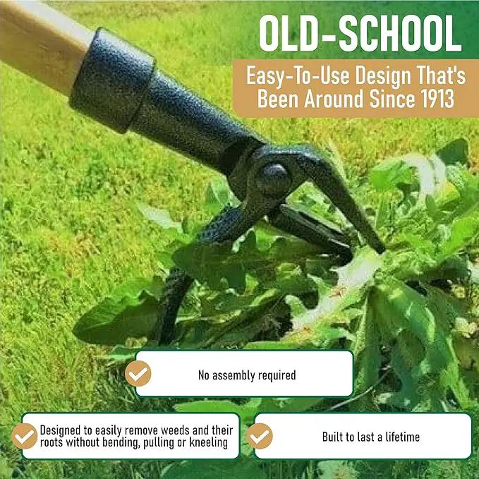 Grampa's Weeder - The Original Stand Up Weed Puller Tool with Long Handle - Made with Real Bamboo & 4-Claw Steel Head Design - Easily Remove Weeds Without Bending, Pulling, or Kneeling. by GreenHaven Gardens