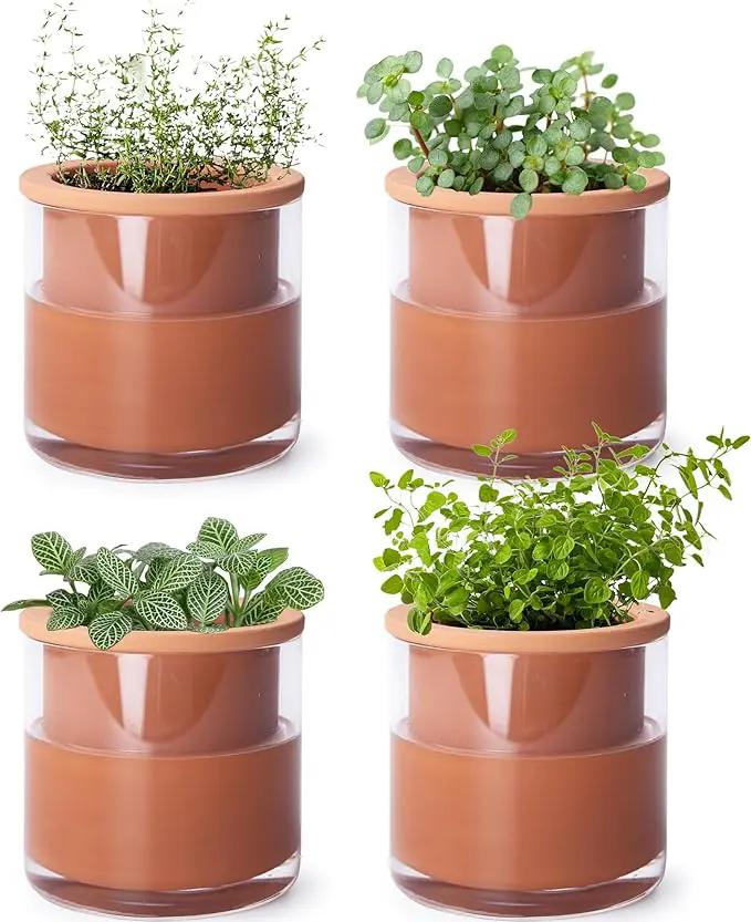 Phoenix Vine 4 Inch Self Watering Plants Pot, Design Terracotta Pot for Plants, Indoor Cylinder Terra Cotta Planter with Glass Vase, Set of 4, 51-A-E-4 by GreenHaven Gardens