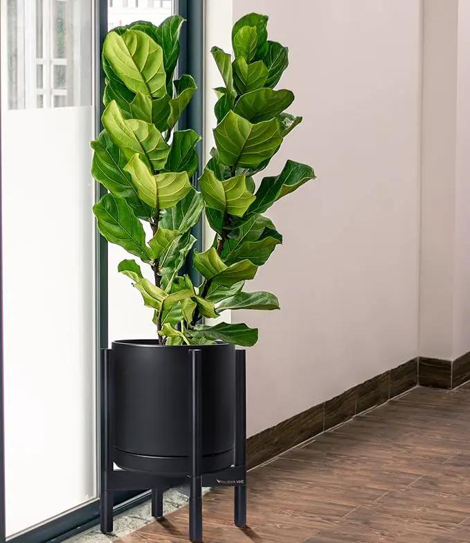 D'vine Dev Ceramic Planter with Ebony Stand - 12 Inch Modern Round Flower Pot with Wood Planter Holder, Black, 55-B-H-2 by GreenHaven Gardens
