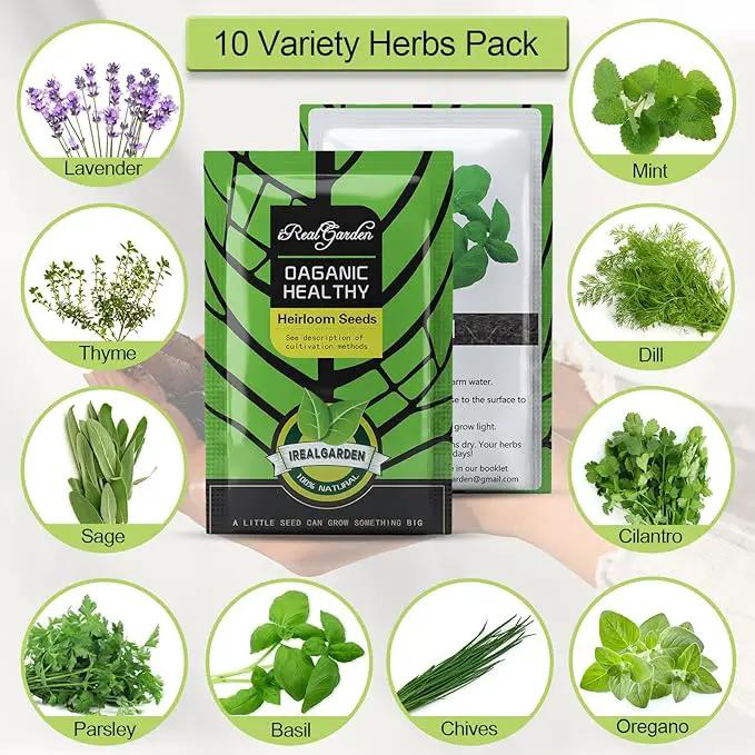 Herb Garden Kit Indoor Herb Garden Starter Kit - 10 Variety Herbs Kitchen Window Herb Garden Planter Indoor & Outdoor Growing Kit for Windowsill Countertop - Unique Gardening Gift for Women Men by GreenHaven Gardens