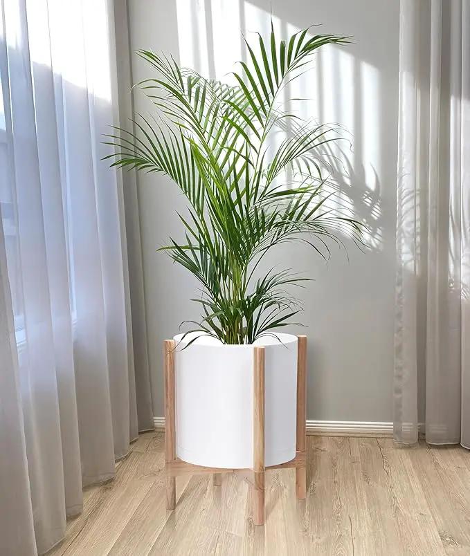 D'vine Dev Planter Pot with Stand - 14 Inch Plastic Cylinder Flower Pot with Wood Planter Holder for Indoor, Matte White Pot + Natural Stand, 55-C-S-1 by GreenHaven Gardens