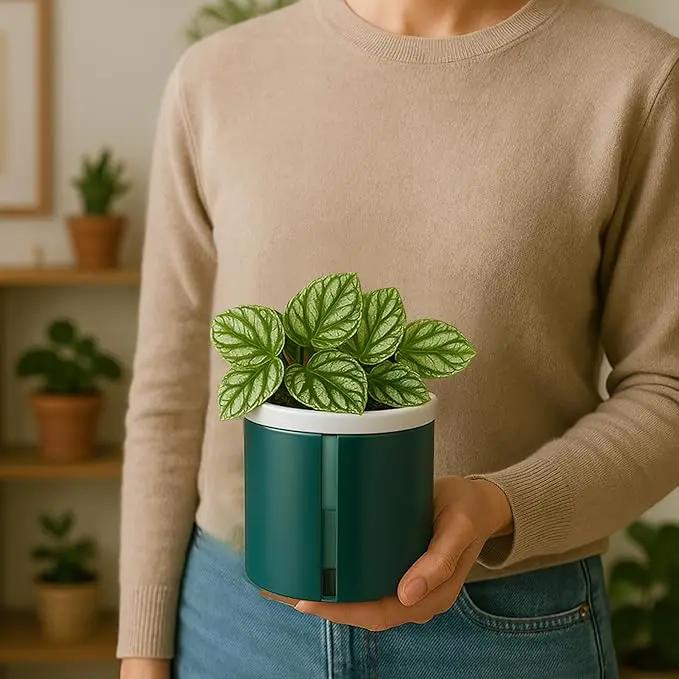 D'vine Dev 4 Inch Design Self Watering Planter for Indoor Plants, White Terracotta Pot with Teal Cylinder Glass Cup, Set of 3,37-Z-A-5-T by GreenHaven Gardens