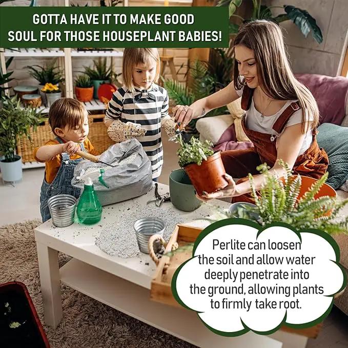 25QT Horticultural Perlite Bulk, Organic Perlite for Plants, Course Perlite for Gardening, for Plants Indoor, for Houseplants, to Promotes Soil Root Growth, and Water Drainage and Plant Growth(3-6mm) by GreenHaven Gardens