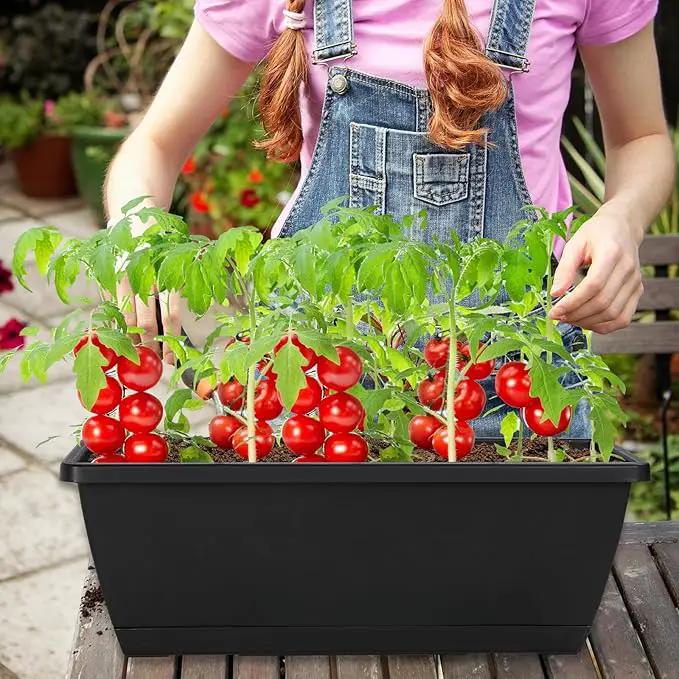12Pcs 17Inches Rectangle Planter Box with Drainage Holes and Trays Plastic Planters Flower Boxes Pots for Indoor Outdoor Plants Patio Garden Home Decor Porch Yard (Red) by GreenHaven Gardens