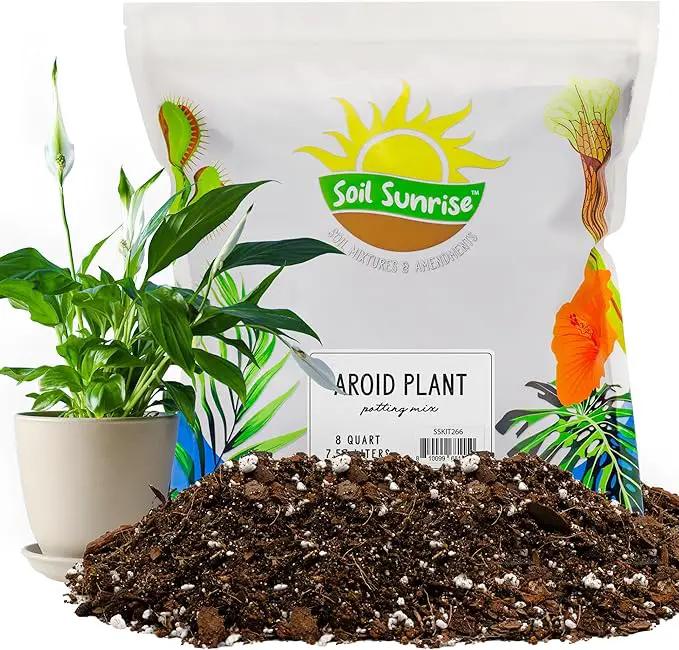 Aroid Plant Potting Soil Mix (8 Quarts), for Pothos Devil's Ivy, ZZ Plant, Chinese Evergreen, Dumb Cane, Philodendron, Syngonium, Alocasia, Colocasia Etc. by GreenHaven Gardens