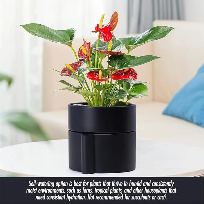 Phoenix Vine 6.5 Inch Self-Watering Planter Pot with Terracotta Insert, Deep Water Reservoir, and Ceramic-Alike BPA-Free Plastic Planter Pot for Plant, Modern Planter for Houseplants, Black, 53-A-S-2 by GreenHaven Gardens