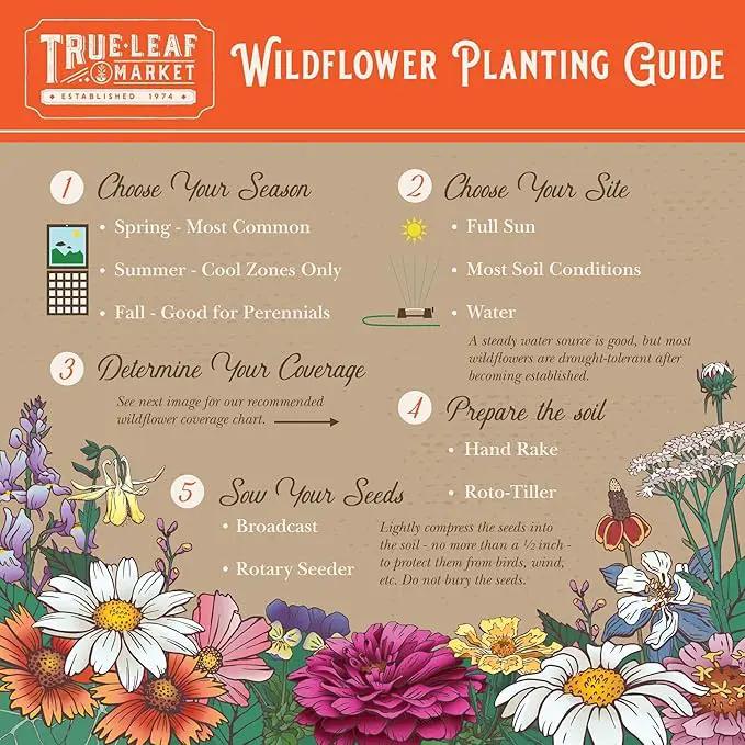 Wildflower Seeds Bulk, 2 Oz. 80,000+ Seeds – Butterfly & Hummingbird Mix with 23 Non-GMO Varieties – Pollinator Flower Seed for Planting by GreenHaven Gardens