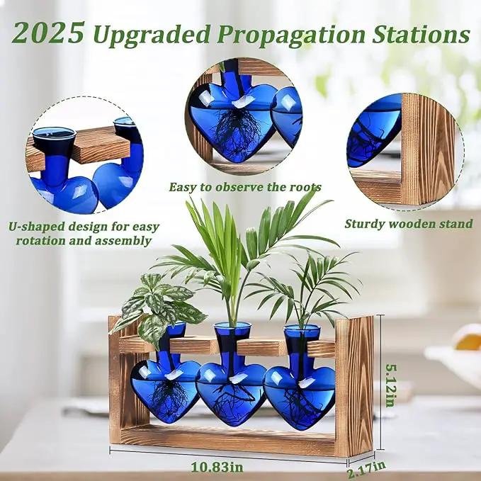 Lifecapido Heart Shaped Propagation Stations, Plant Terrarium with Wooden Stand, Plant Propagation Station for Hydroponics Plants Office Garden Home Decor, Gifts for Women Plant Lover (3 Vases, Blue) by GreenHaven Gardens