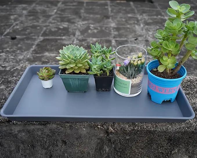 Plant Saucer Growing Tray, Seed Starter Tray Rectangular, Heavy Sturdy Plastic Plant Saucers Drainage Trays, Plant Drip Trays for Pots, Seed Starter Growing Tray (11 x 9 inch, 1 Pack) by GreenHaven Gardens
