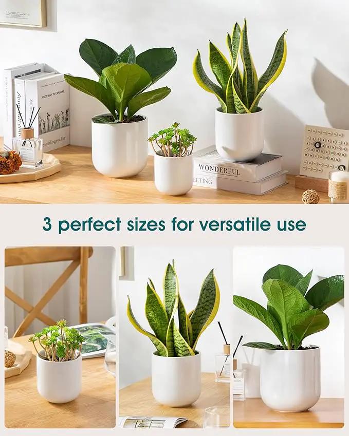 vancasso Ceramic Plant Pots, 4+5+6 inches, Set of 3, Planters with Drainage Hole, Flower Pots Planters Pots for Indoor Plants, Modern Indoor Decorative Garden Pot, Home Decor, White by GreenHaven Gardens