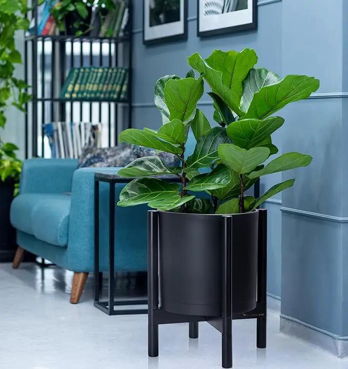 D'vine Dev Planter Pot with Stand - 12 Inch Plastic Cylinder Flower Pot with Wood Planter Holder for Indoor, Matte Black Pot + Ebony Stand, 55-C-Q-2 by GreenHaven Gardens