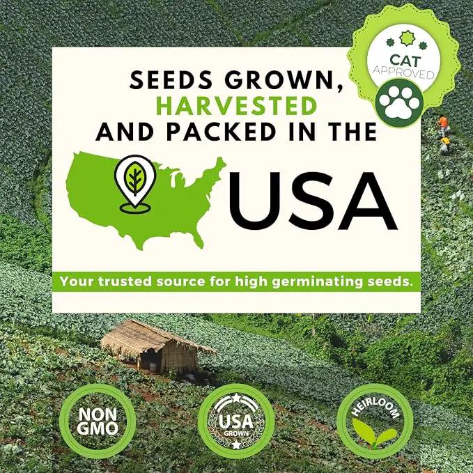 HOME GROWN 3 Cat Grass Seed Mix – Non-GMO Heirloom Oat, Alfalfa & Cat Grass Seeds | Indoor Pet Grass for Cats | High-Germination Greens for Hairball Control, Digestion, and Chewing Enrichment by GreenHaven Gardens