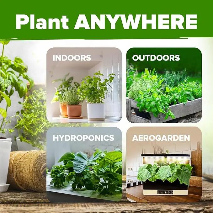 HOME GROWN 10 Herb Seeds for Planting 3,000+ Non-GMO Heirloom Seeds | Extra Large Variety Pack Herb Kit – Indoor Outdoor & Hydroponic | Culinary Seed Set | Grow Your Own Herbs | Gift for Beginners by GreenHaven Gardens