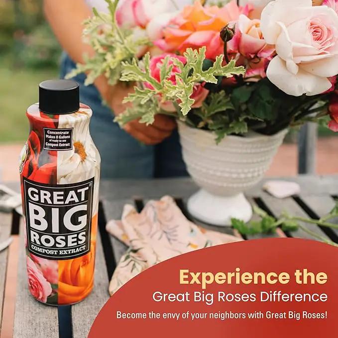 Great Big Roses – Soil and Rose Fertilizer Booster to Grow The Best Roses and Flowers; Rose Food Compost Extract for Rose Bush, 1 Gallon Concentrate (Makes 32 Gallons) by GreenHaven Gardens
