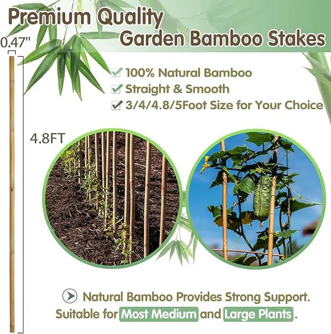 Bamboo Stakes,4.8FT Natural Bamboo Garden Stakes,BOVITRO 20Pcs Bamboo Plant Stakes,Bamboo Sticks for Tomato,Beans,Vegetable and Climbing Plants by GreenHaven Gardens