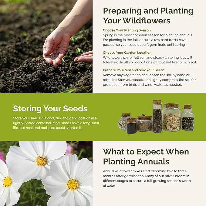 Eden Brothers Moon Garden Flower Mixed Seeds for Planting, 1 oz, 30,000+ Seeds with Cosmos Purity, Bishop's Flower | Attracts Pollinators, Plant in Spring or Fall, Zones 3, 4, 5, 6, 7, 8, 9, 10 by GreenHaven Gardens