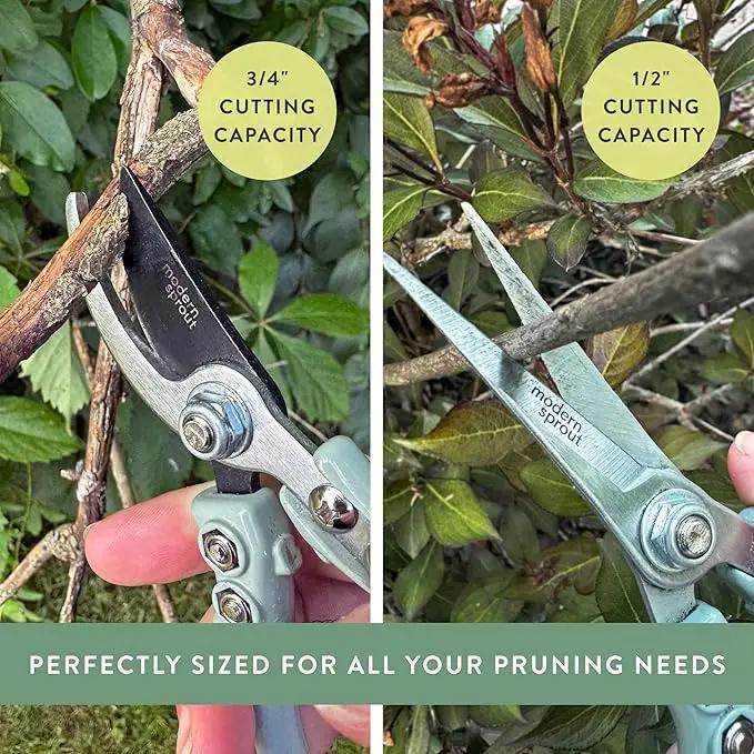 Modern Sprout Hand Pruners & Shears Set - Lightweight Gardening Tools W/Easy Lock - Sharp Carbon Steel Blades -Rust Resistant Scissors for Herbs, Flowers - Reusable Holster - Sage by GreenHaven Gardens
