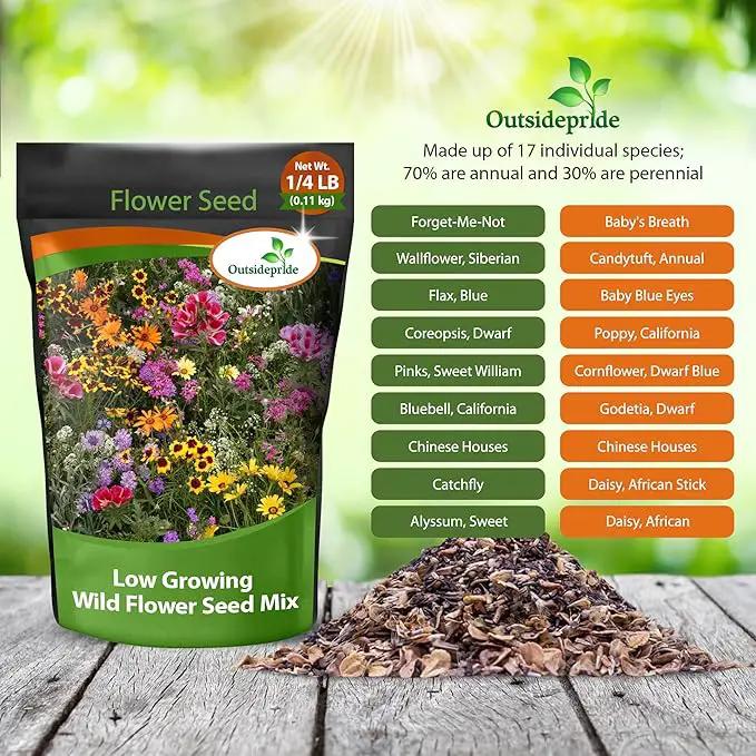 Outsidepride Low Growing Wildflower Seeds - 1/4 lb Dwarf, & Short, Diverse Perennial & Annual Wild Flower Seed Mix with Long Bloom Season for Colorful Display That Thrives on All States by GreenHaven Gardens