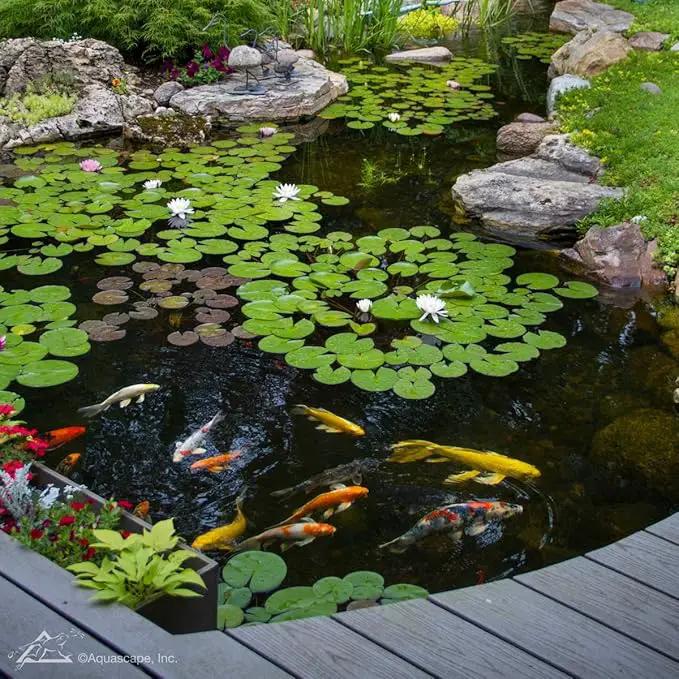 Aquascape - Beneficial Bacteria for Ponds - 8.45 oz Liquid by GreenHaven Gardens