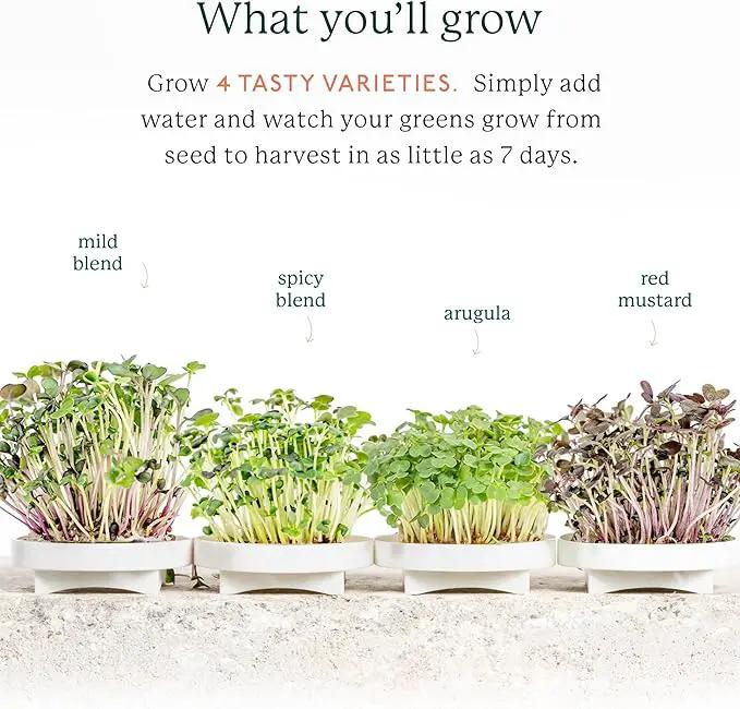 GARDYN Indoor Garden Nursery, Indoor Germination, Hydroponic Growing System - Seed Starter Tray Works with Home Tower Gardens, Vertical Garden Planters & Microgreens Growing Kits by GreenHaven Gardens