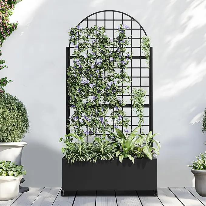 Casaphoria Metal Raised Garden Bed with Trellis and Wheels, 72"x35"x16" Arched Planter Box for Climbing Plants, Vegetables & Vines, Features Drainage Holes and Privacy Screen (Black-Grid) by GreenHaven Gardens