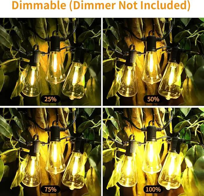 ZOTOYI Outdoor String Lights 100 FT, Waterproof IP65 LED Patio Lights with 52 ST38 Shatterproof Bulbs(2 Spare), Dimmable String Lights for Outside, Cafe, Bistro, Backyard, Garden Warm White by GreenHaven Gardens
