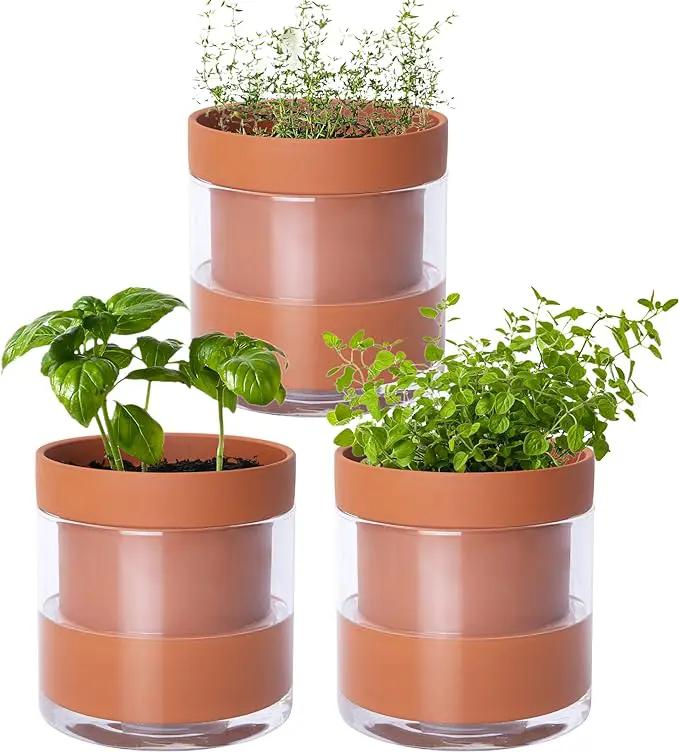 Phoenix Vine 4 Inch Self Watering Planter Pot, Terracotta Clay Pot with Glass Reservoir for Indoor Plants, Herbs, Flowers, Set of 3, 52-A-E-3 by GreenHaven Gardens