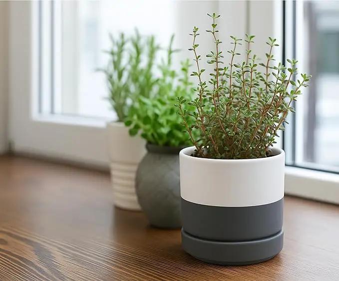 D'vine Dev 3.5 Inch & 4.7 Inch Ceramic Planter Pots for Plants with Drainage Hole and Saucer, X-Small Plant Pots Set, White/Speckled Grey, 94-G-XS-6 by GreenHaven Gardens