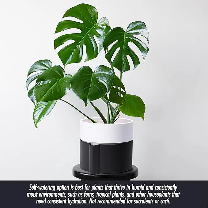 8 Inch Self-Watering Planter Pot with Terracotta Insert, Deep Water Reservoir, and Ceramic-Alike BPA-Free Plastic Planter Pot for Plant, Modern Planter for Houseplants, Black/White, 53-C-T-7 by GreenHaven Gardens