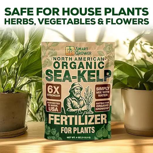 Organic Sea Kelp Fertilizer for Plants – Water-Soluble – Makes 100 Gallons – Kelp Meal Concentrate Plant Food – for Indoor Gardens, Hydroponics, Vegetables, Houseplants - Smart Grower - 4oz Bag by GreenHaven Gardens
