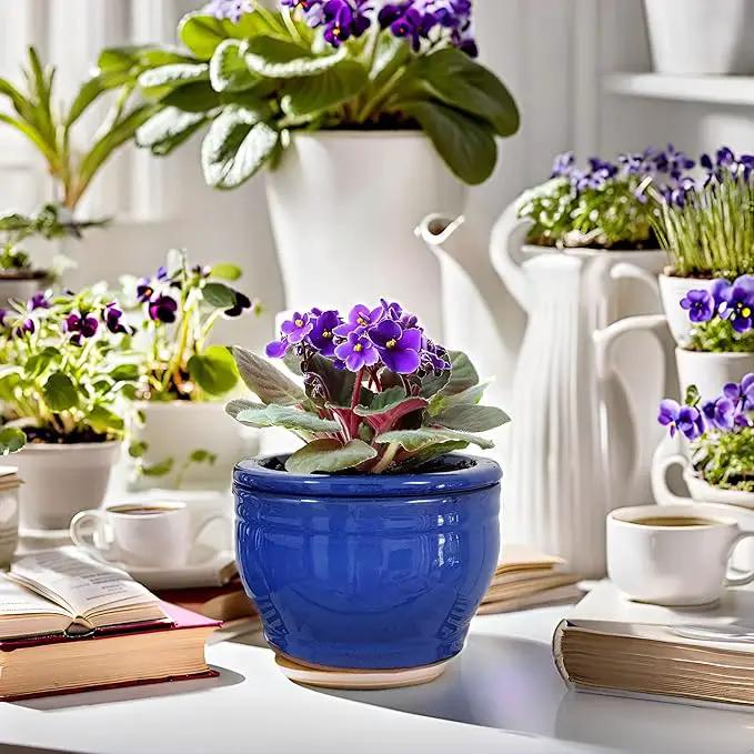 African Violet Pots Self Watering Round Ceramic Violet Pot (Blue, 6 inch) by GreenHaven Gardens