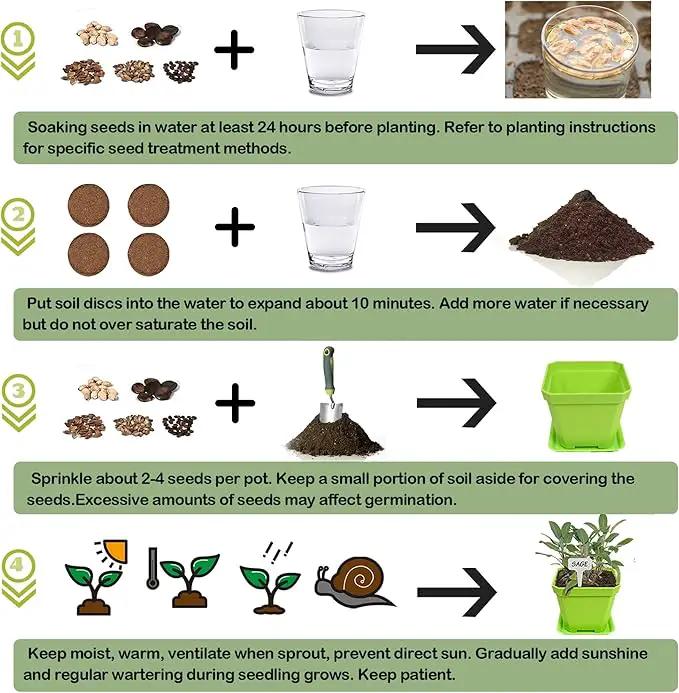 10 Herb Seeds Garden Starter Grow Kit with Green Pots, Markers, Nutritional Soil, Watering, Herb Clipper, Complete Indoor Potted Plant Growing Set for Kitchen DIY by GreenHaven Gardens