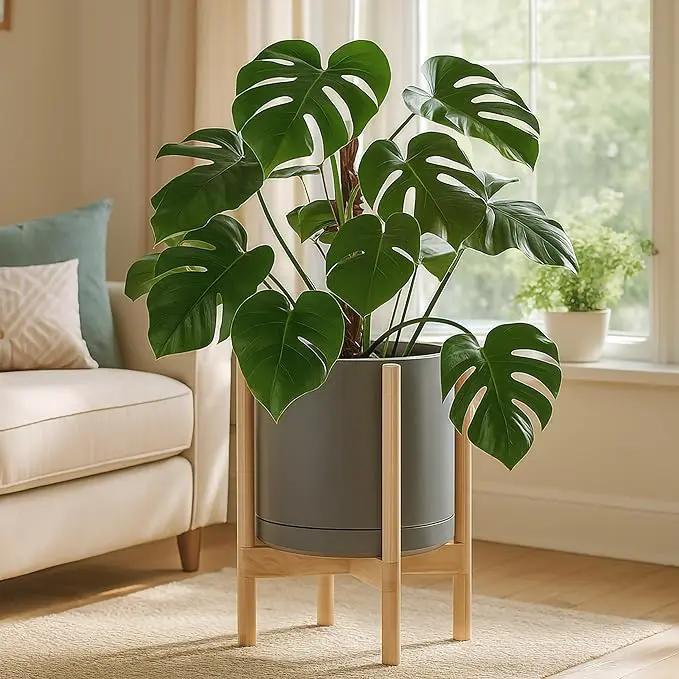 D'vine Dev Ceramic Planter with Natural Stand - 12 Inch Modern Round Flower Pot with Wood Planter Holder, Grey, 55-B-J-3 by GreenHaven Gardens