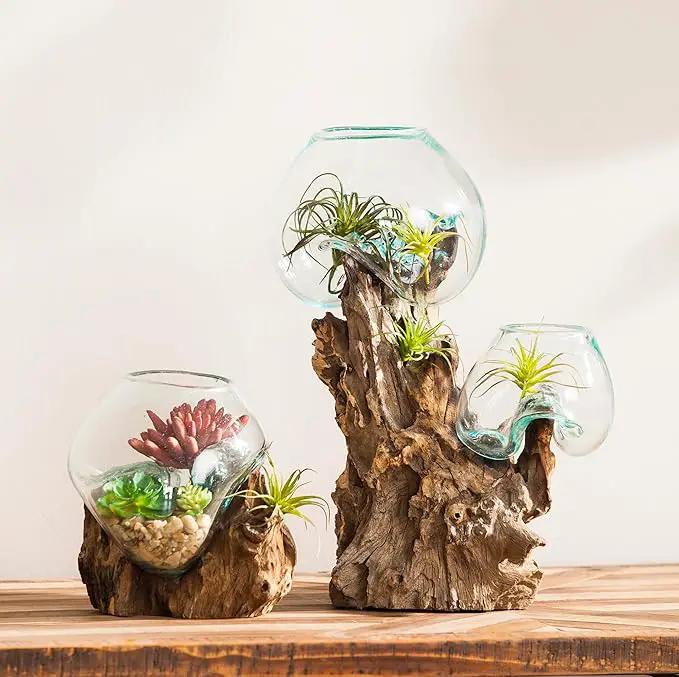 Cape Craftsmen 7" H Hand-Blown Blue Tinted Bubble Glass On Natural Teak Driftwood Terrarium | Home Décor Indoor Planter with Stand | Pot for Succulent and Plants by GreenHaven Gardens