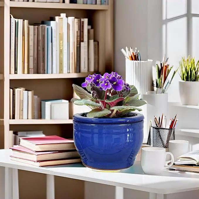 African Violet Pots Self Watering Round Ceramic Violet Pot (Blue, 6 inch) by GreenHaven Gardens