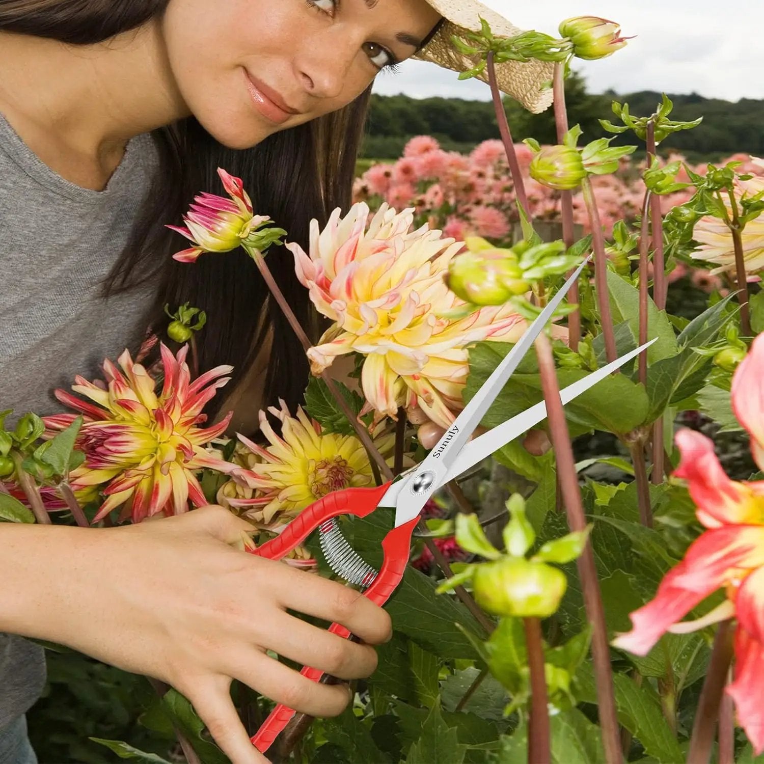 Extra Long Pruning Shears, Gardening Hand Pruners with Stainless Steel Blades, Garden scissors for Arranging Flowers, Trimming Plants, Harvesting Herbs, Fruits or Vegetables, 9.5IN by GreenHaven Gardens
