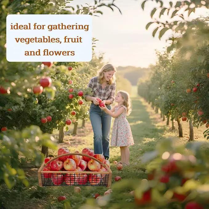 Garden Hod Harvest Basket, Durable Wooden Gardening, Supply Suitable For Kitchen, Picnic And Outdoor Picking by GreenHaven Gardens