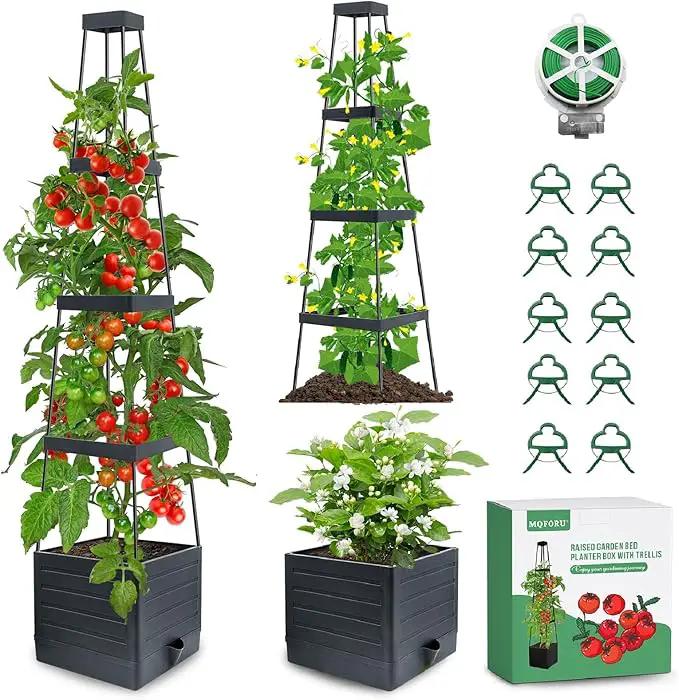 MQFORU 2Pack Raised Garden Bed Planter Boxes with Trellis, 57" Self-Watering Tomato Planter Boxes with Trellis for Climbing Vegetable and Plants, Tomato Cage for Indoor Outdoor Use by GreenHaven Gardens