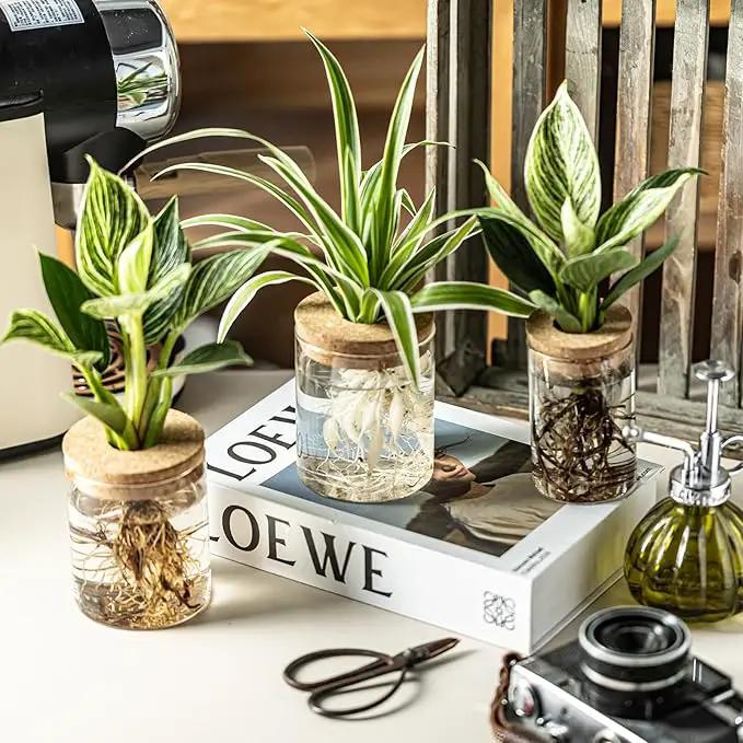 Glass Plant Propagation Stations for Plants – Set of 4(4 Large & 4 Small) Hydroponic Vases for Plant Cuttings,Flower Arrangements, Home & Office Decor–Desktop Vases for Living Room, Bedroom (8) by GreenHaven Gardens