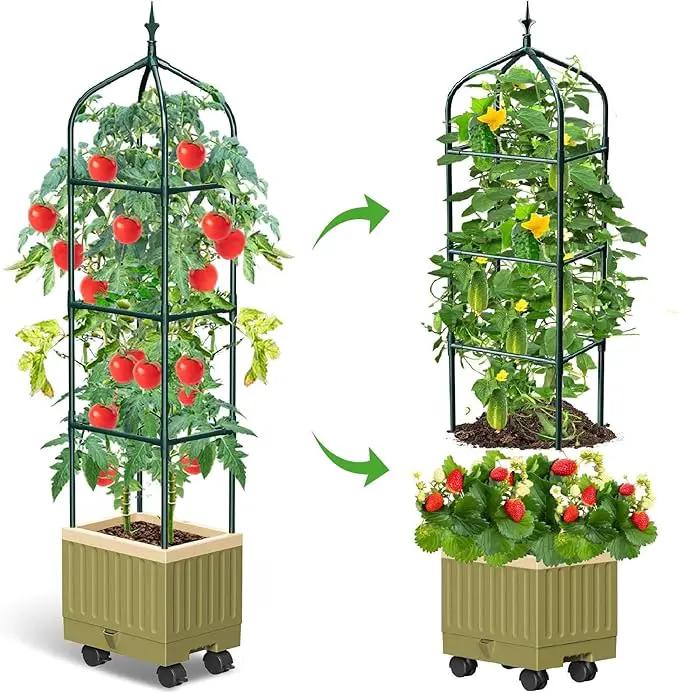 Raised Garden Bed Planter Box with Trellis, 71" Self-Watering Tomato Planter with Wheels for Climbing Vegetable and Plants, Tomato Cage Planters for Indoor Outdoor Patio Greenhouse Gardening (1Pack) by GreenHaven Gardens