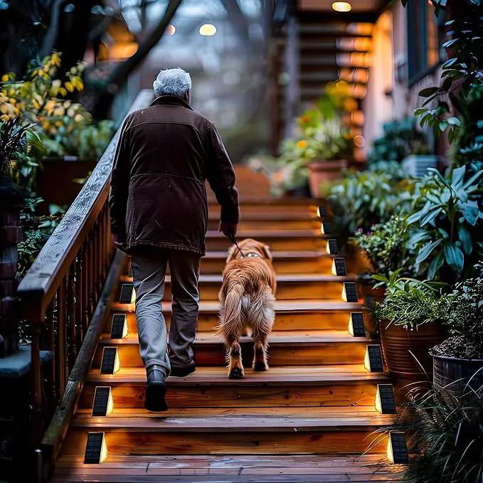 SOLPEX Solar Step Lights for Outside, 24 LEDs Solar Stair Lights Outdoor Waterproof Decor for Porch, Front Door, Stair, Step, Deck, Fence, Balcony, Patio, Wall, Yard, Garden(12 Pack, Warm White) by GreenHaven Gardens