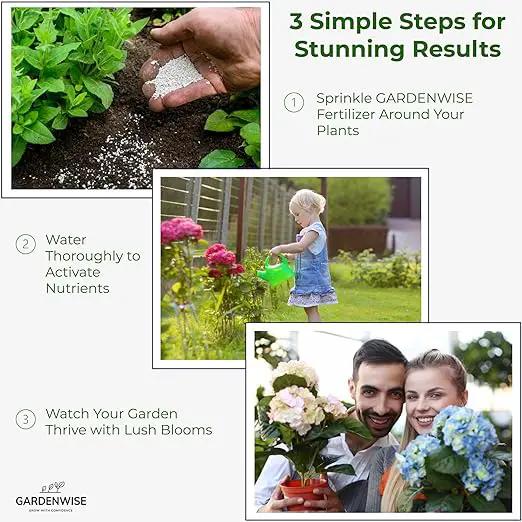 Slow Release Hydrangea Fertilizer with Iron & Sulfur – Indoor & Outdoor Soil Acidifier for Miracle Growth (5 qt) by GreenHaven Gardens